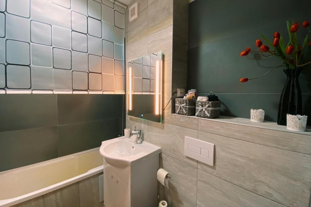 דירות סיגישוארה Apartament Smiley מראה חיצוני תמונה